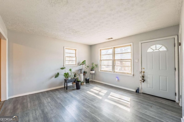 entrance foyer featuring wood finished floors, baseboards, and a textured ceiling