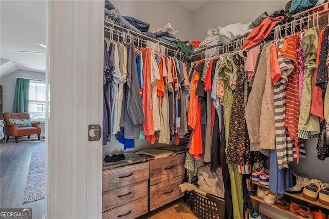 walk in closet with vaulted ceiling and wood finished floors