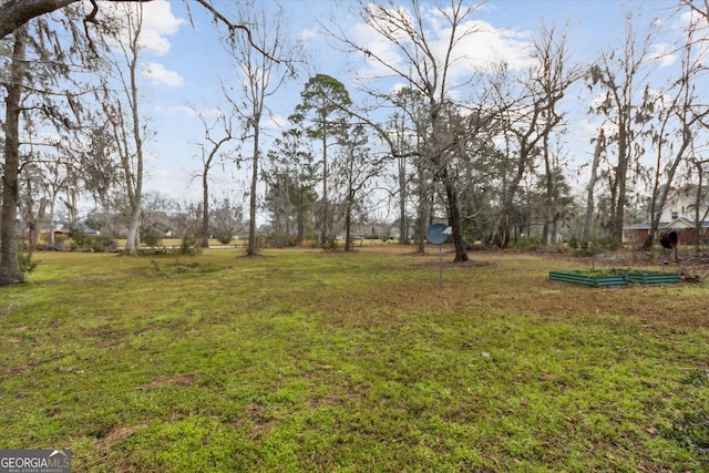 view of yard featuring a garden