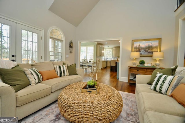 living area featuring wood finished floors, french doors, and high vaulted ceiling