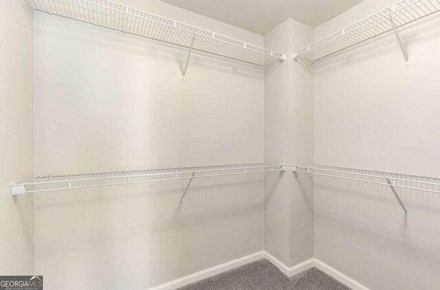 spacious closet with carpet