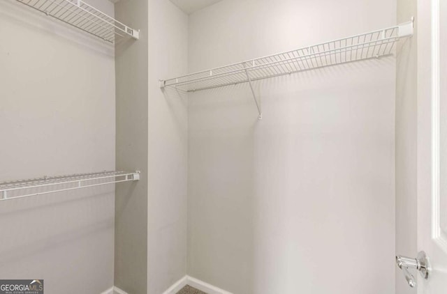 view of spacious closet