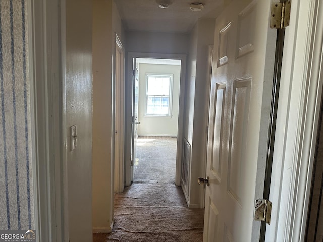 hallway featuring carpet floors