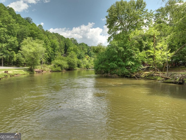 property view of water with a view of trees