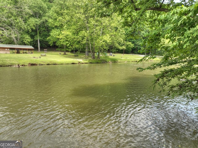 water view with a view of trees