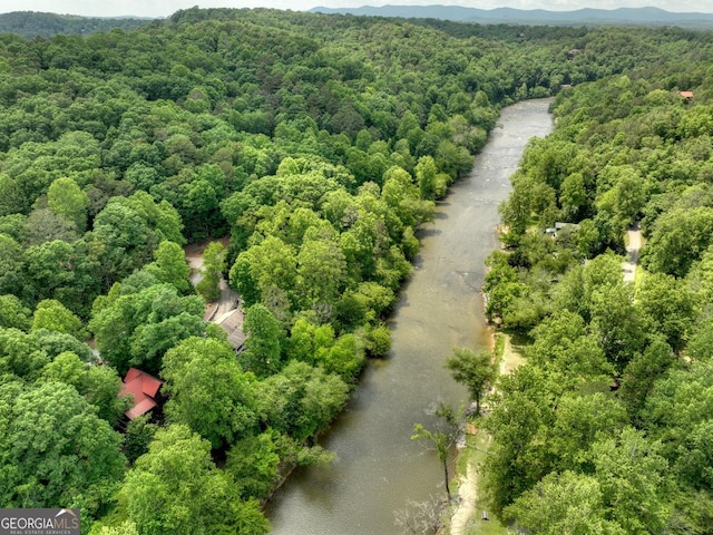 birds eye view of property with a mountain view and a view of trees