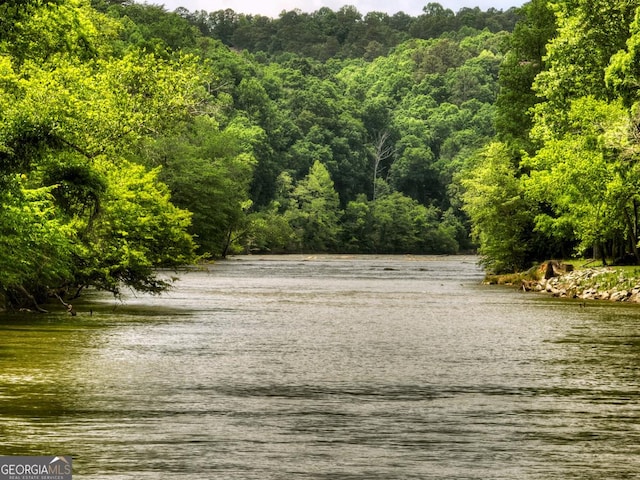 water view featuring a view of trees