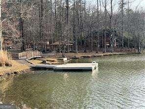 Listing photo 3 for 0 S Basin Dr, Jasper GA 30143