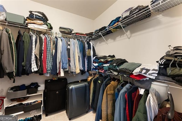 walk in closet featuring carpet flooring