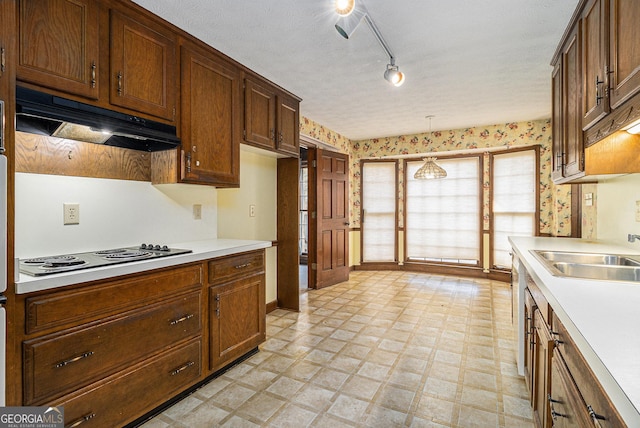 kitchen with light floors, a sink, light countertops, electric cooktop, and under cabinet range hood