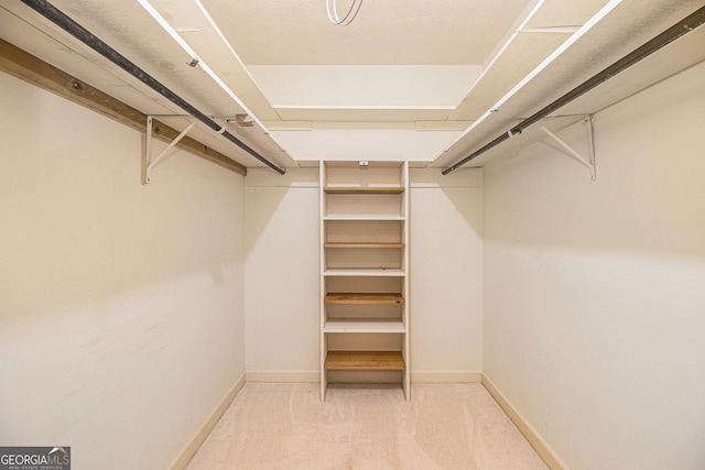spacious closet with carpet flooring