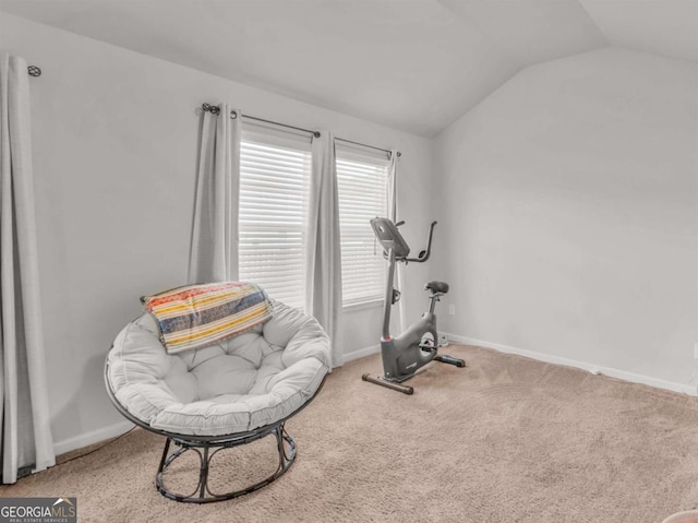 workout room featuring lofted ceiling, carpet flooring, and baseboards