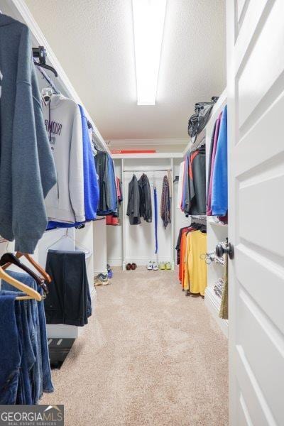 walk in closet with carpet