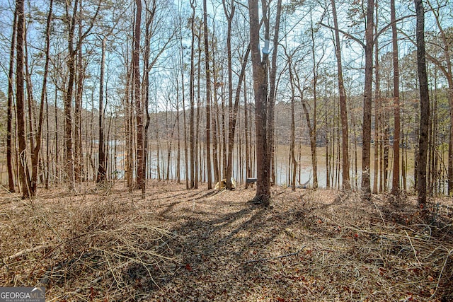 view of nature featuring a view of trees