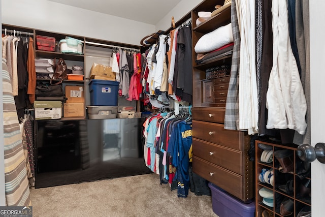 walk in closet featuring carpet