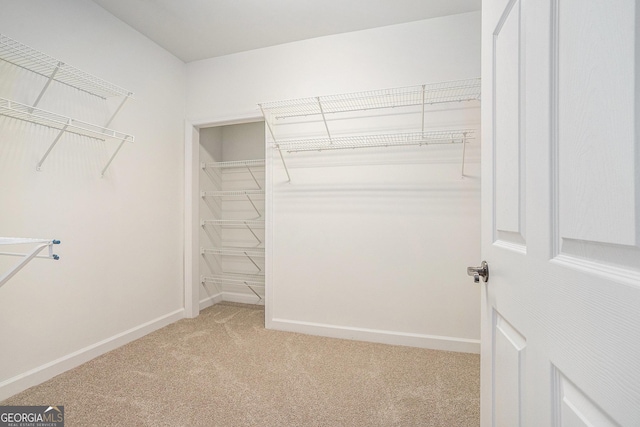 walk in closet with light colored carpet