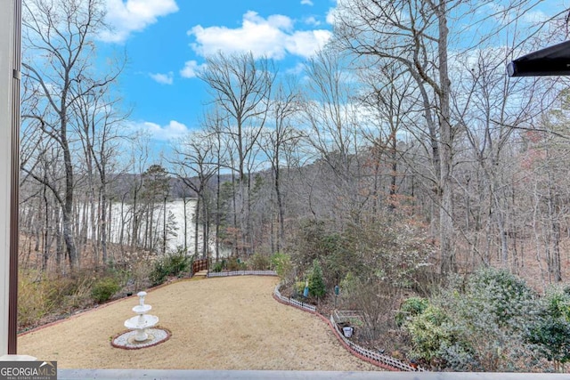 view of yard with a wooded view