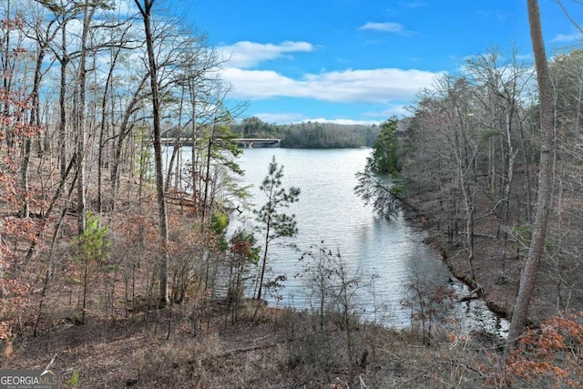 property view of water featuring a forest view