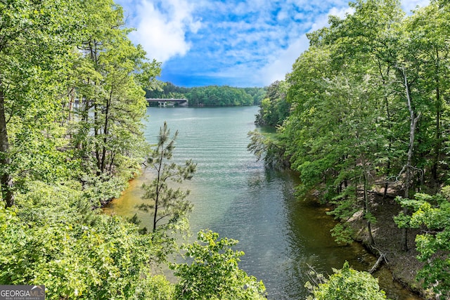 3845 Starboard Pt, Gainesville, GA 30506 - water view