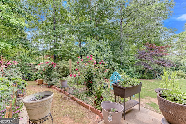 3845 Starboard Pt, Gainesville, GA 30506 - view of yard