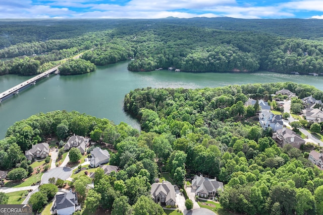 3845 Starboard Pt, Gainesville, GA 30506 - aerial view of residential area featuring a forest and a large body of water