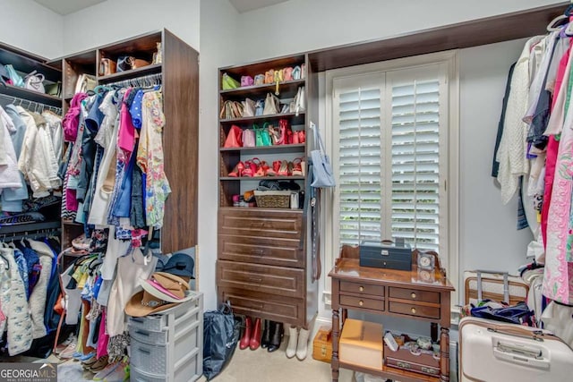 view of walk in closet