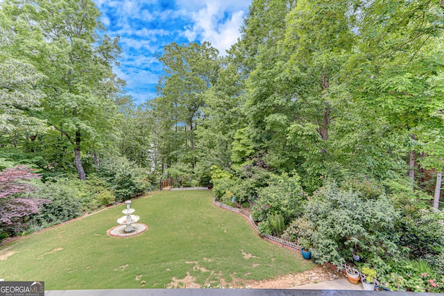 3845 Starboard Pt, Gainesville, GA 30506 - view of green lawn