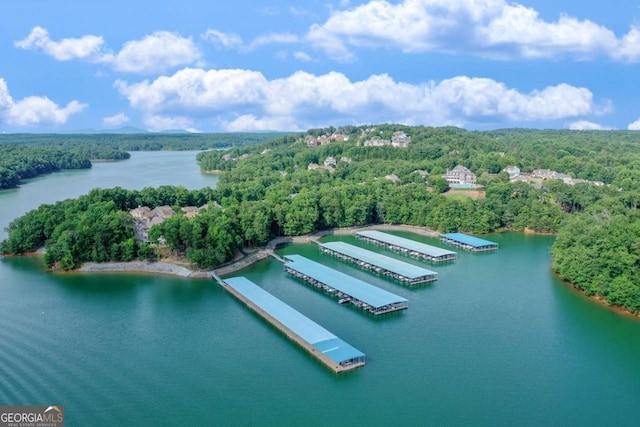 drone / aerial view with a view of trees and a water view