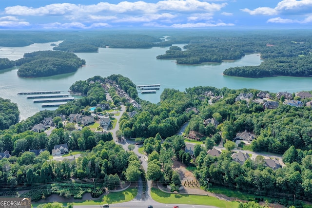 3845 Starboard Pt, Gainesville, GA 30506 - aerial view of property and surrounding area with a nearby body of water