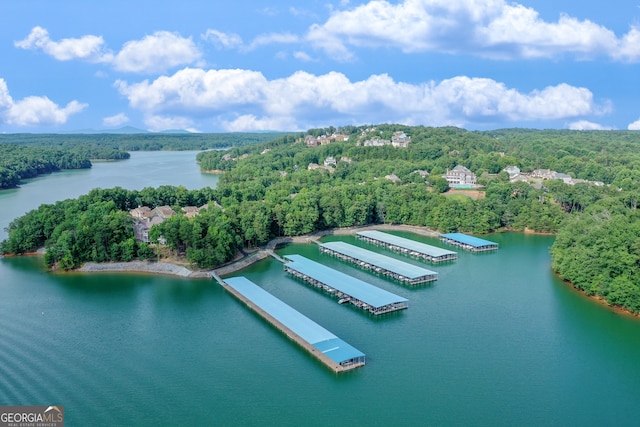 3845 Starboard Pt, Gainesville, GA 30506 - aerial view of a forest and a large body of water