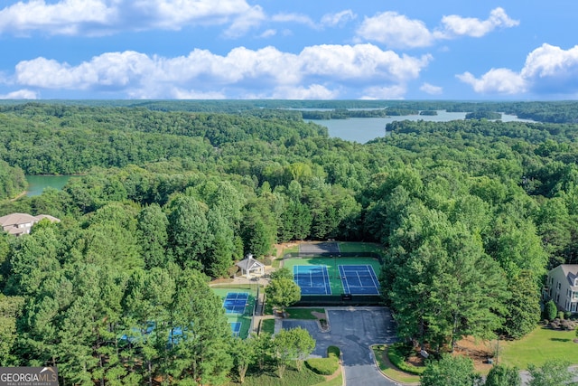 3845 Starboard Pt, Gainesville, GA 30506 - aerial view of property's location with a heavily wooded area and a large body of water