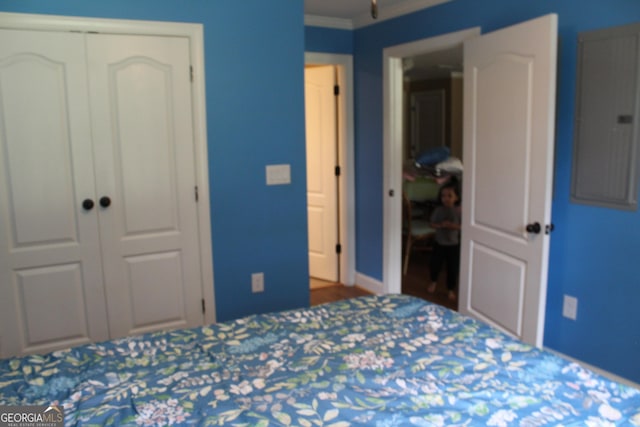 3801 Gold Leaf Ct, Stockbridge, GA 30281 - bedroom featuring a closet and electric panel