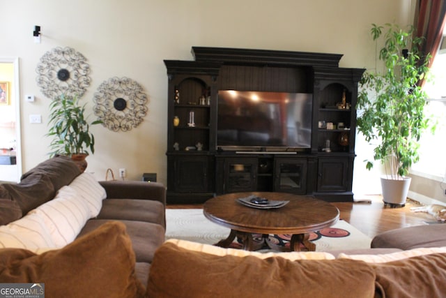 3801 Gold Leaf Ct, Stockbridge, GA 30281 - living room with wood finished floors