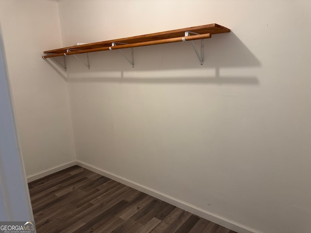 walk in closet featuring dark wood finished floors