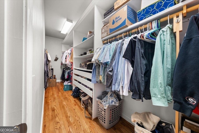 walk in closet featuring wood finished floors