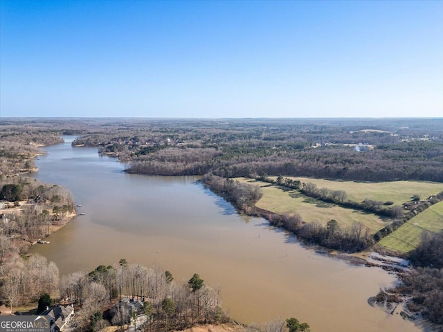 birds eye view of property with a wooded view and a water view