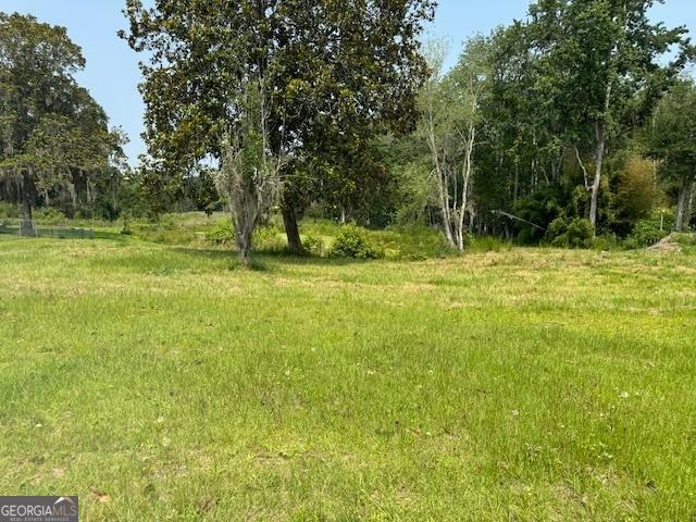 0 US Highway 17, Townsend, GA 31331