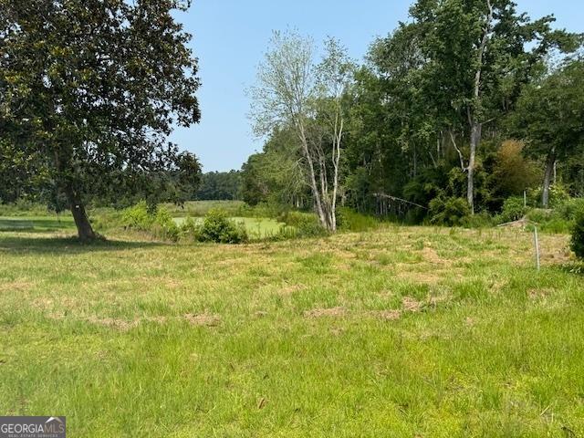 0 US Highway 17, Townsend, GA 31331