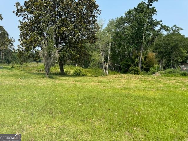 0 US Highway 17, Townsend, GA 31331