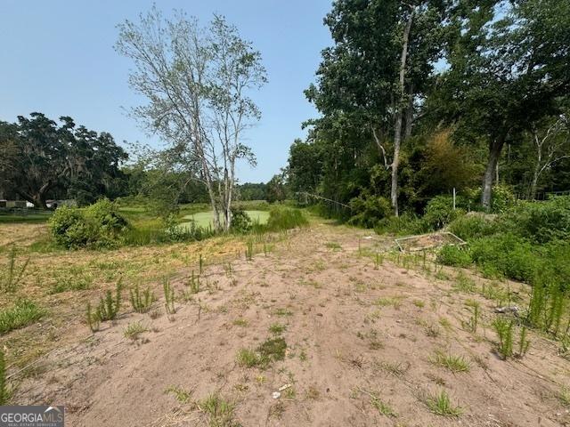 0 US Highway 17, Townsend, GA 31331