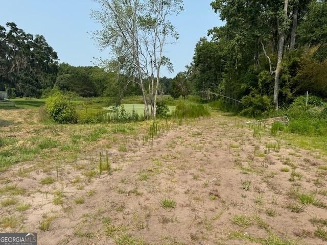 0 US Highway 17, Townsend, GA 31331