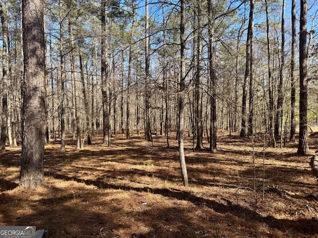 view of local wilderness