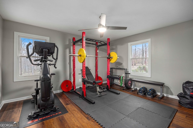 exercise area featuring ceiling fan, baseboards, wood finished floors, and plenty of natural light