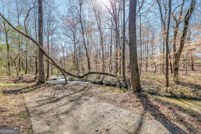 exterior space featuring a wooded view