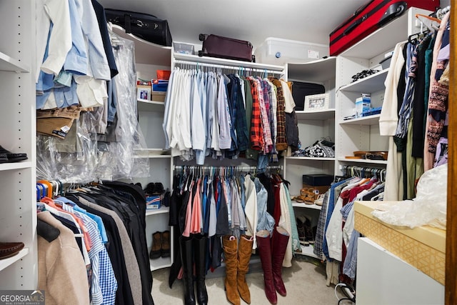 walk in closet featuring carpet