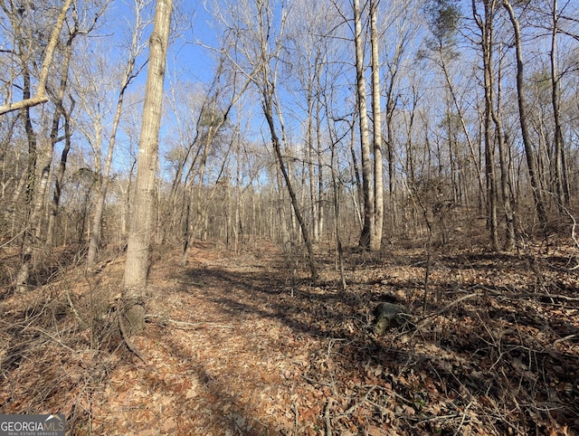 view of local wilderness