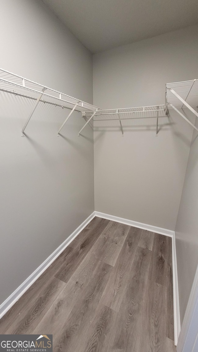 walk in closet featuring wood finished floors