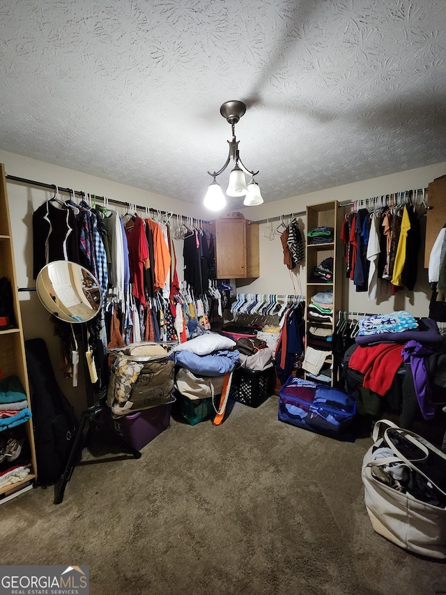 walk in closet with carpet floors