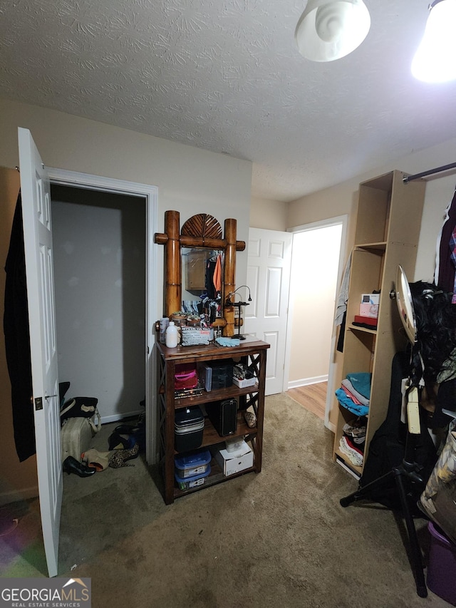 interior space featuring carpet and a textured ceiling