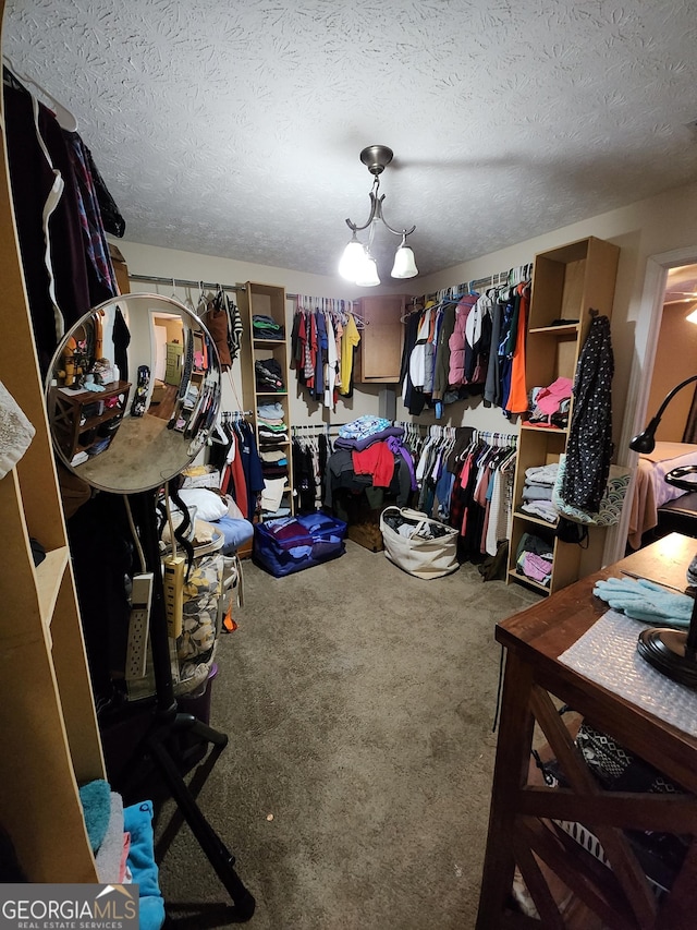 spacious closet with carpet flooring